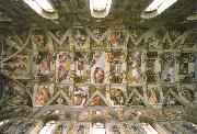 Michelangelo Buonarroti the sistine chapel ceiling oil